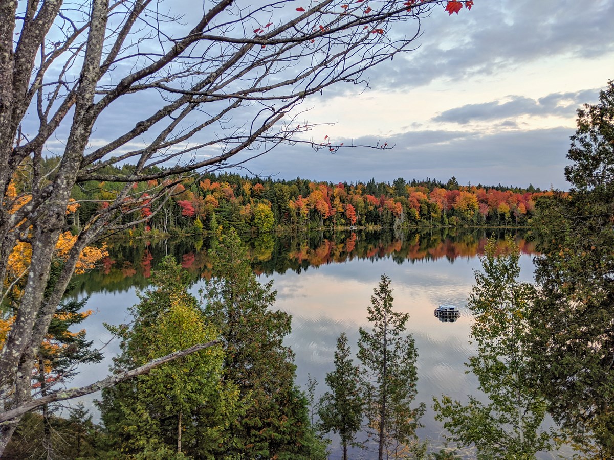 Captez-nous en photos la belle saison des couleurs — GALERIE 8