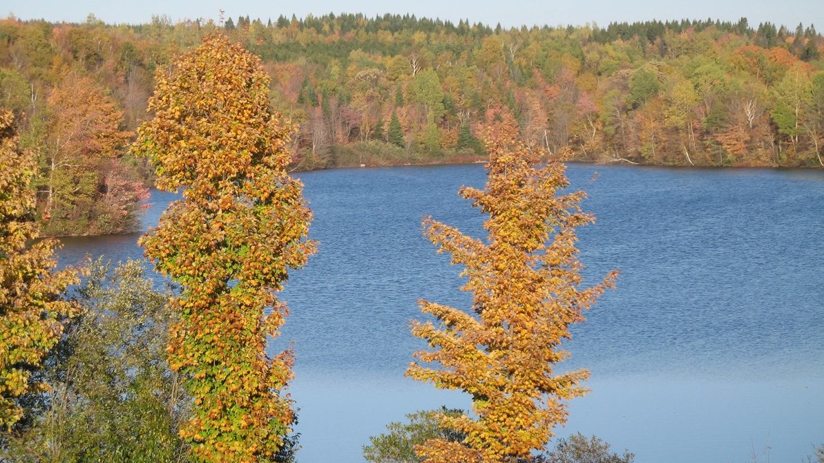 Captez-nous en photos la belle saison des couleurs — GALERIE 8