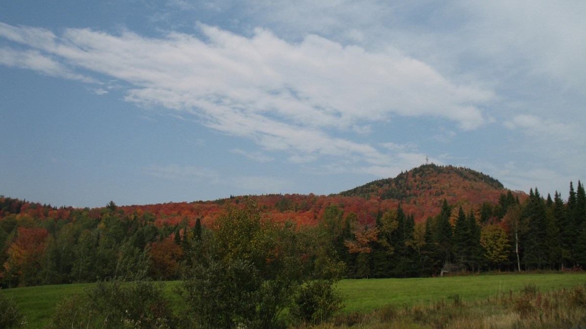 Captez-nous en photos la belle saison des couleurs — GALERIE 8