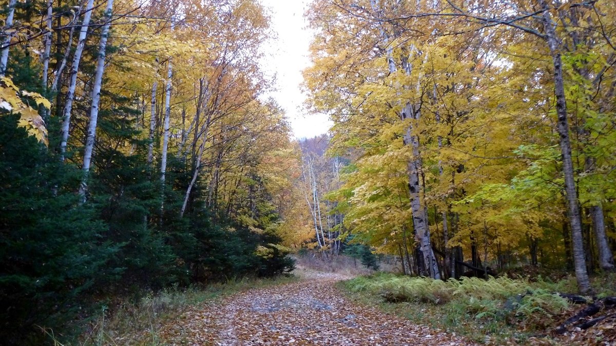 Captez-nous en photos la belle saison des couleurs — GALERIE 8