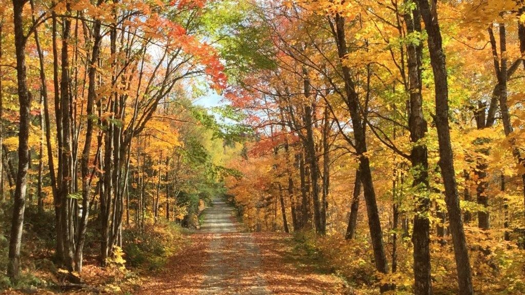 Captez-nous en photos la belle saison des couleurs — GALERIE 9