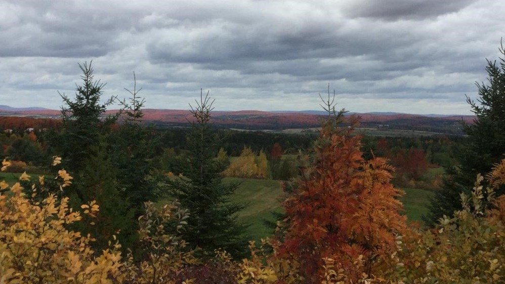 Captez-nous en photos la belle saison des couleurs — GALERIE 9