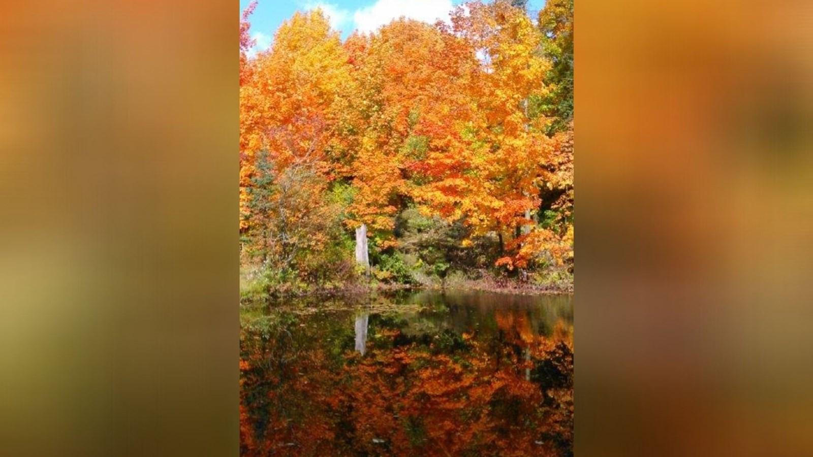 Captez-nous en photos la belle saison des couleurs — GALERIE 9