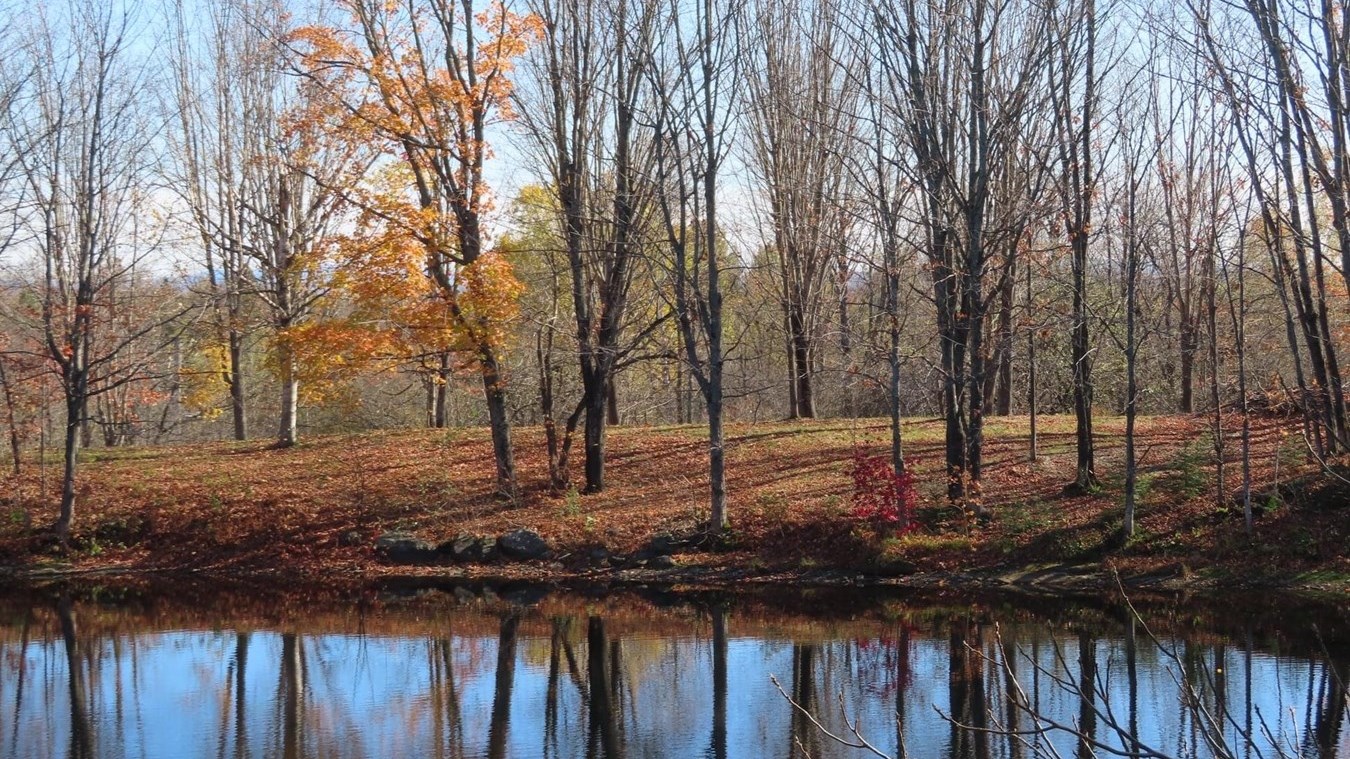 Captez-nous en photos la belle saison des couleurs — GALERIE 9