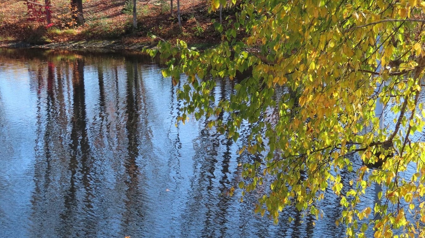 Captez-nous en photos la belle saison des couleurs — GALERIE 9