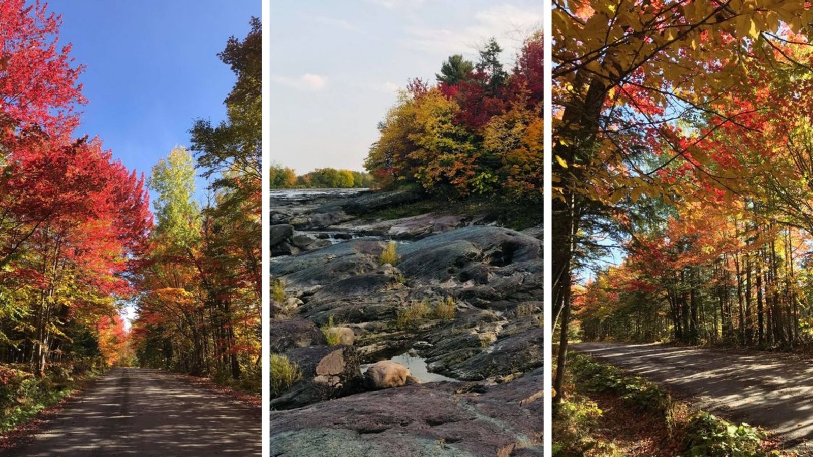 Captez-nous en photos la belle saison des couleurs — GALERIE 10