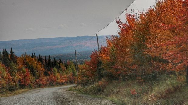 Captez-nous en photos la belle saison des couleurs — GALERIE 10