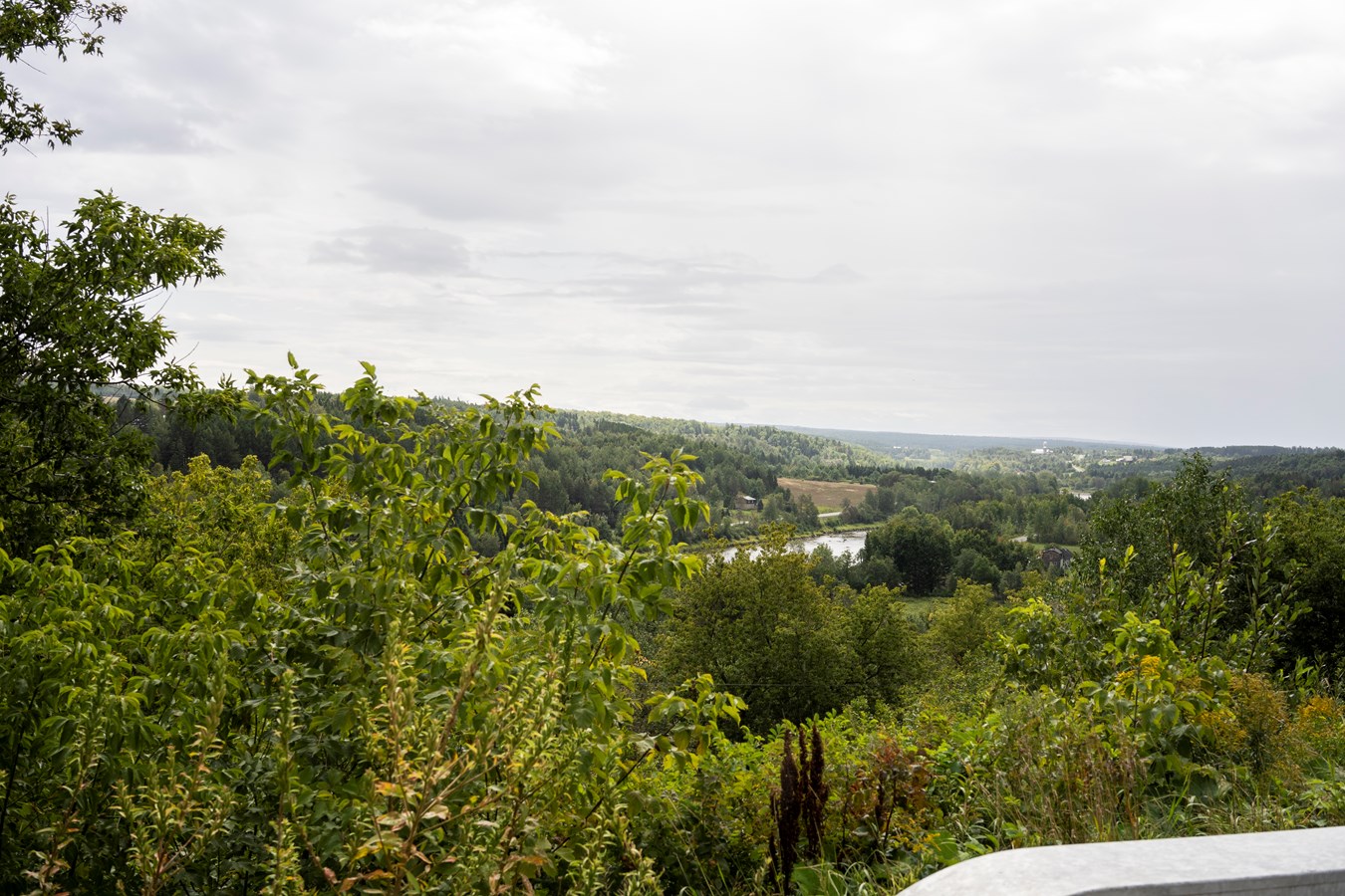 Concertation régionale de Chaudière-Appalaches : ID Territoires rejoint le comité