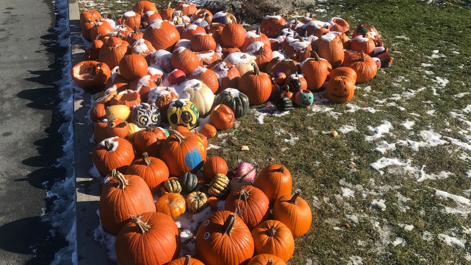 Un succès pour l’opération «Smashing Pumpkin» 2020