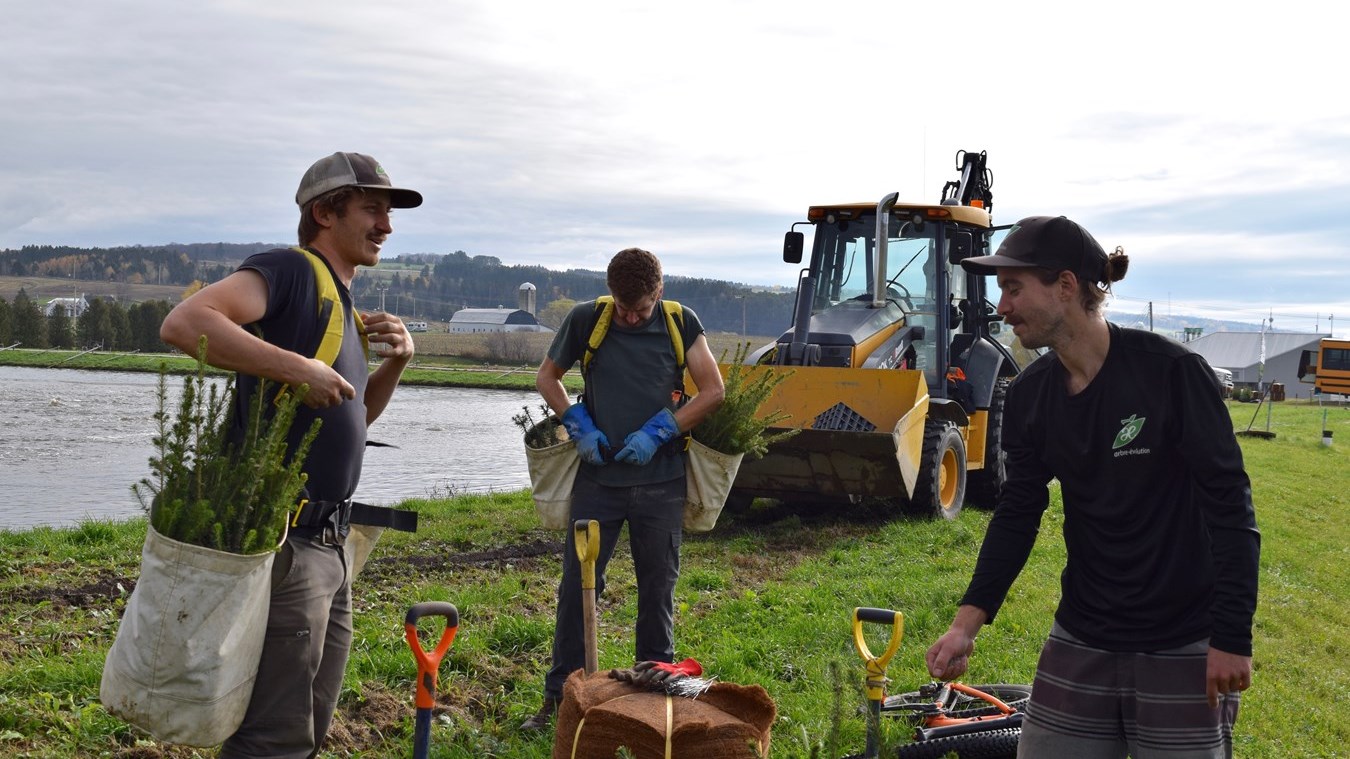 Plus de 500 arbres plantés à Saint-Joseph-de-Beauce