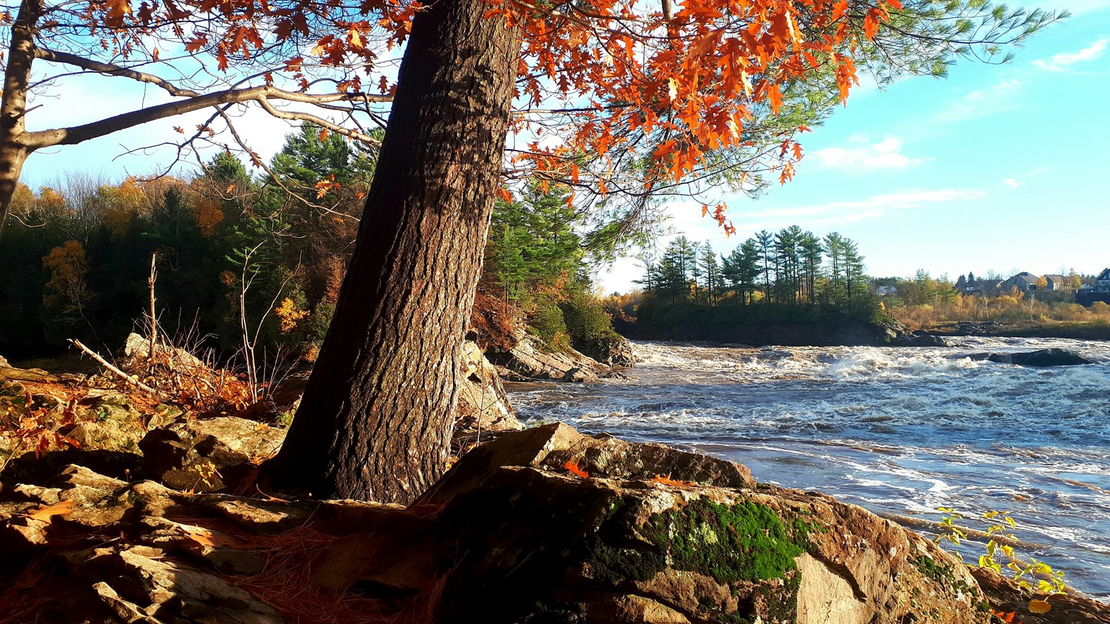 Saint-Lambert-de-Lauzon : Les gagnants du concours photos dévoilés
