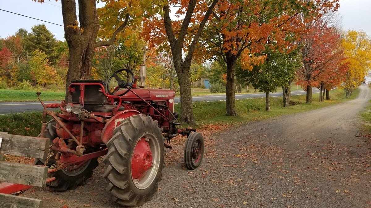 Saint-Lambert-de-Lauzon : Les gagnants du concours photos dévoilés