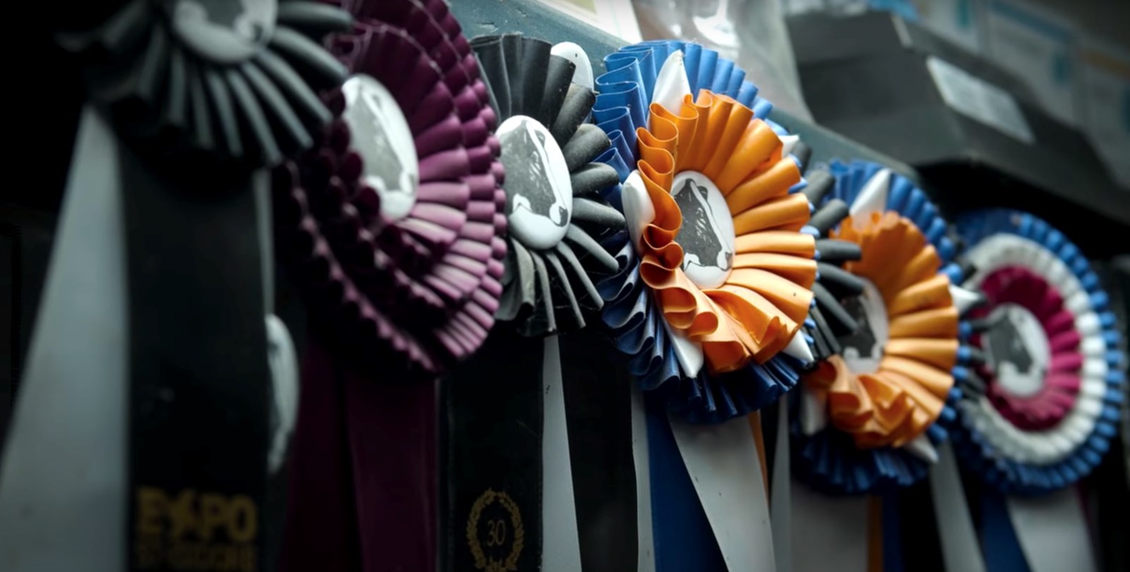 Le Club Holstein de Beauce remet ses prix annuels en gala virtuel