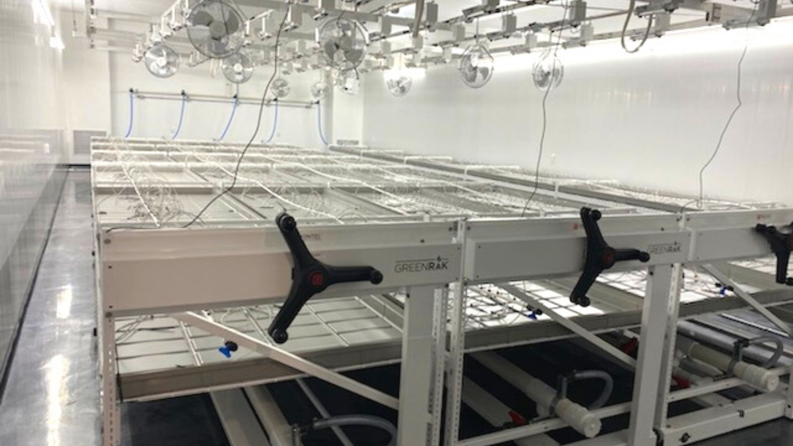 Les deux usines de production de cannabis médicinal obtiennent leur licence