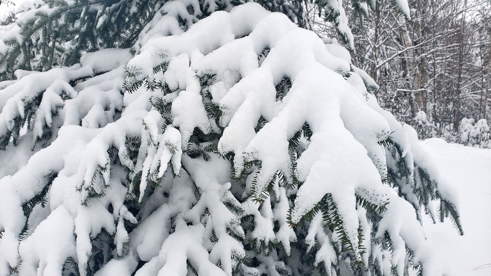 La Beauce enfin sous la neige !