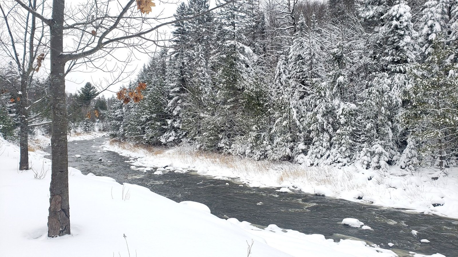 La Beauce enfin sous la neige !