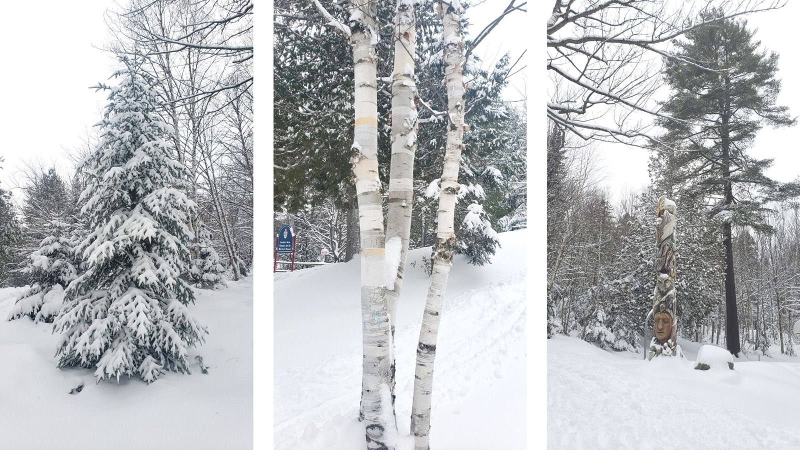 La Beauce enfin sous la neige !