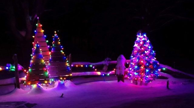 Galerie 3 : Qui a les plus belles décorations de Noël?