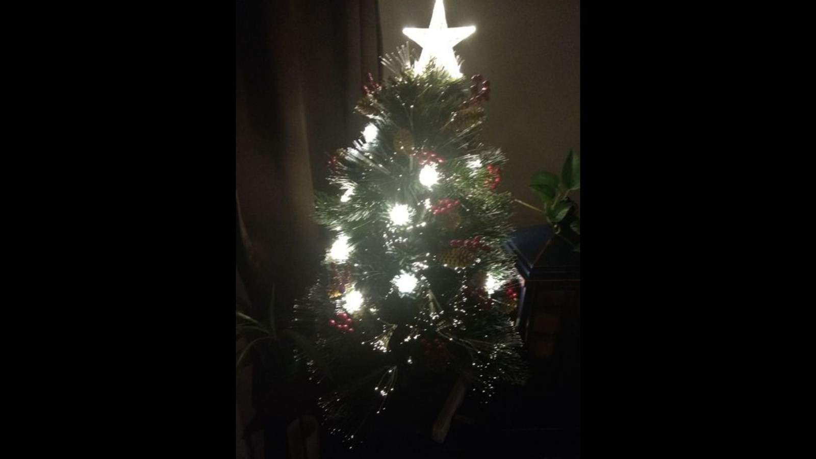 Galerie 3 : Qui a les plus belles décorations de Noël?