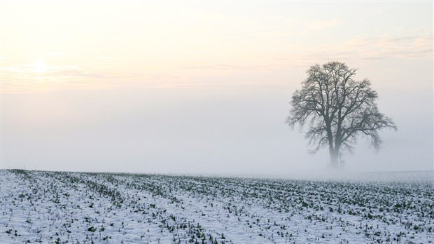 La qualité de l'air se détériore en hiver: connaissez-vous le smog et ses effets?