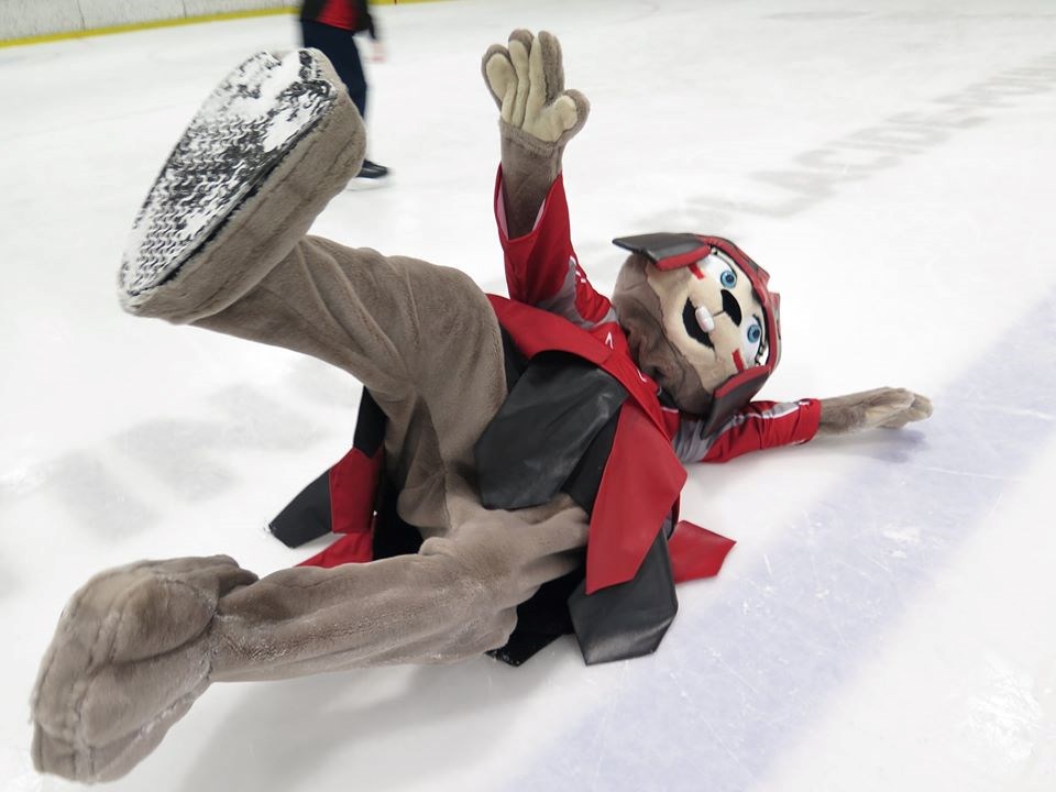 Un record d’affluence pour le Tournoi de ringuette de Sainte-Marie