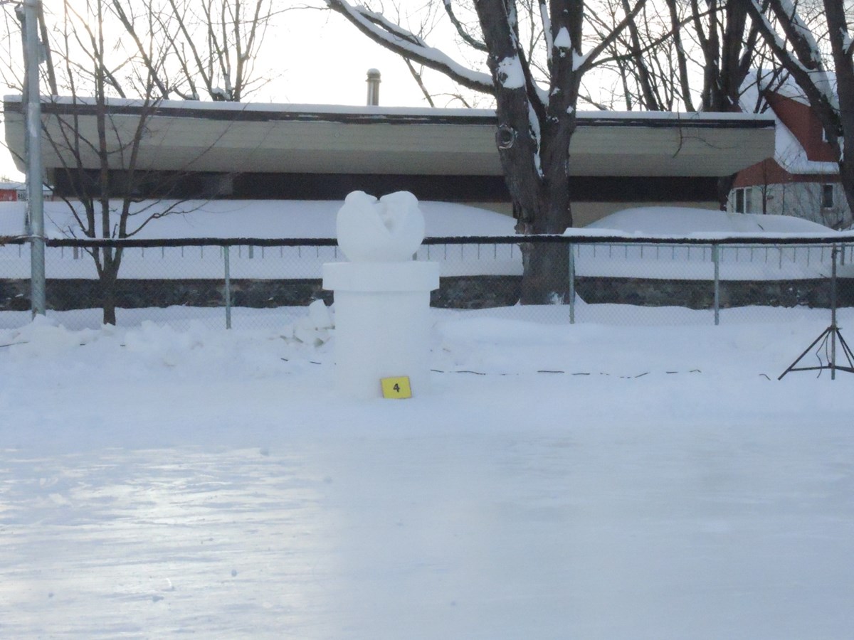 Le froid glacial n'a pas eu raison de l'élan créatif des sculpteurs 