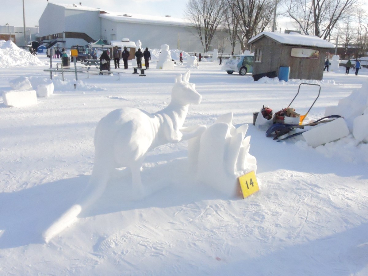 Le froid glacial n'a pas eu raison de l'élan créatif des sculpteurs 