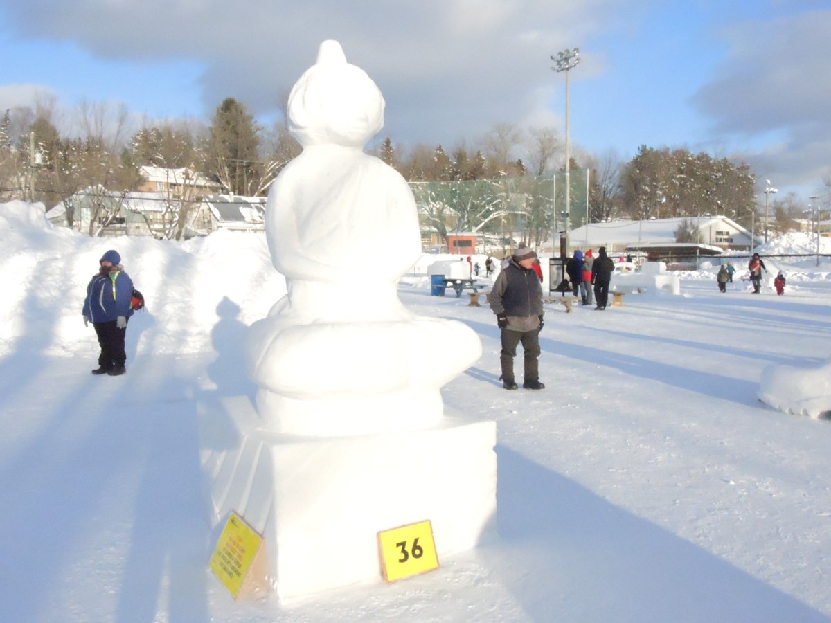 Le froid glacial n'a pas eu raison de l'élan créatif des sculpteurs 