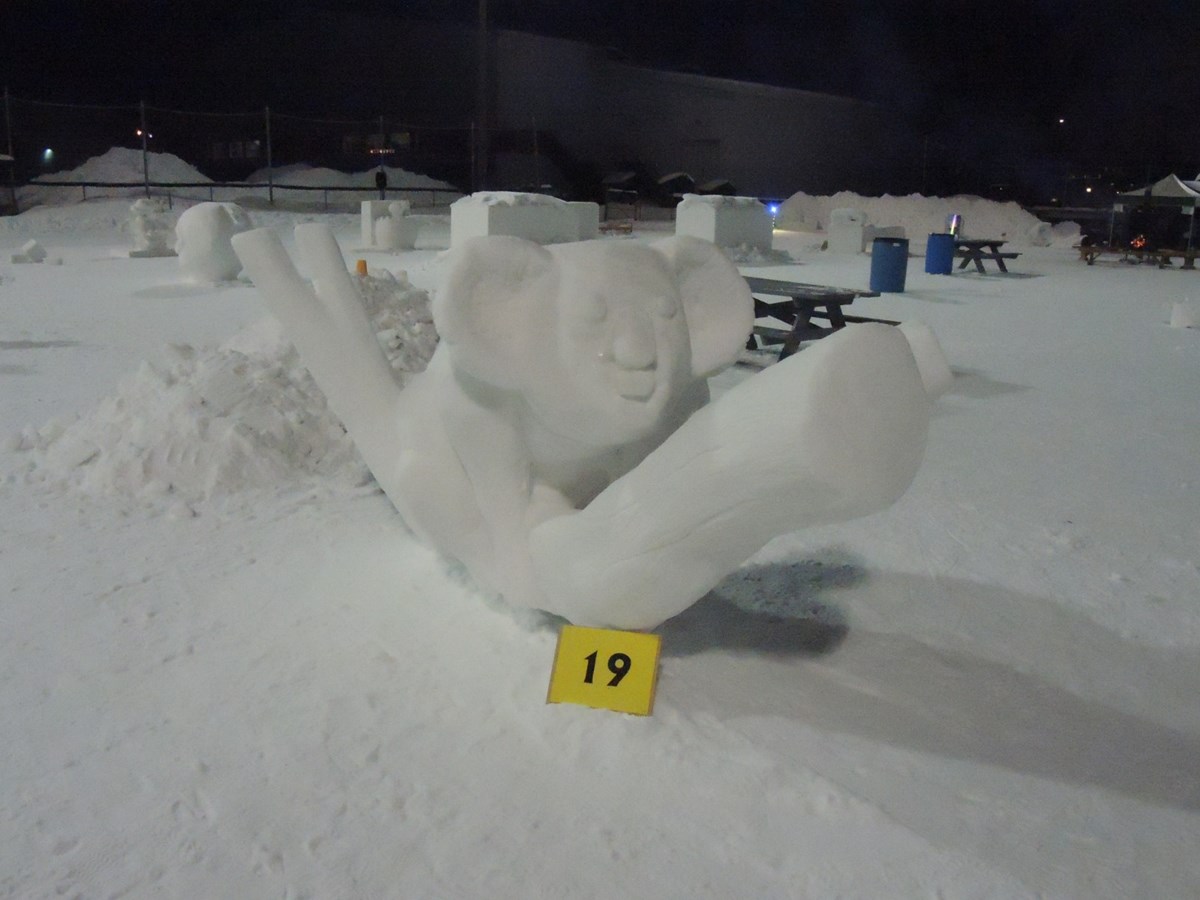 Le froid glacial n'a pas eu raison de l'élan créatif des sculpteurs 