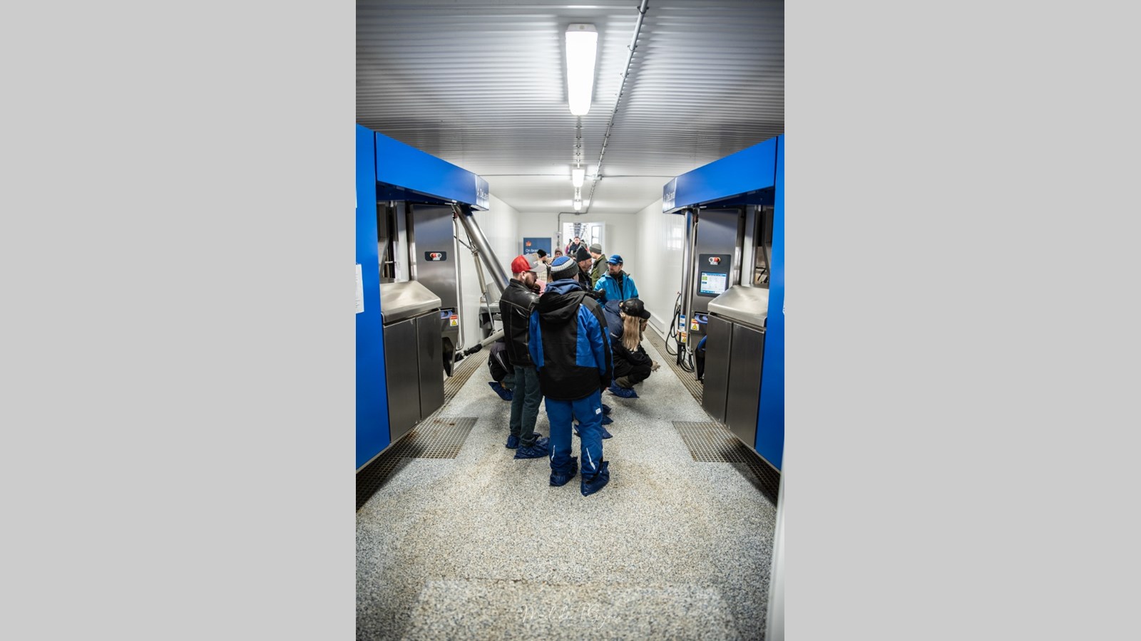 Plus de 1500 visiteurs lors de la journée portes ouvertes de la Ferme Holdream
