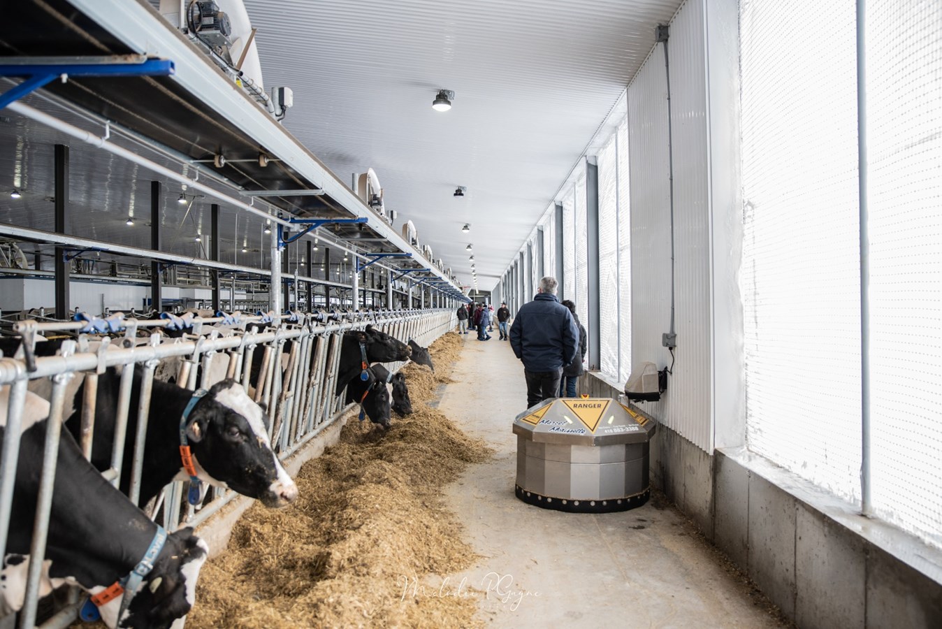 Plus de 1500 visiteurs lors de la journée portes ouvertes de la Ferme Holdream