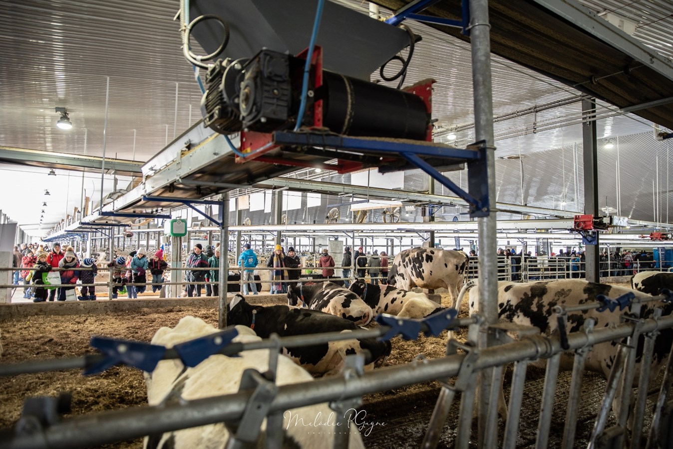 Plus de 1500 visiteurs lors de la journée portes ouvertes de la Ferme Holdream