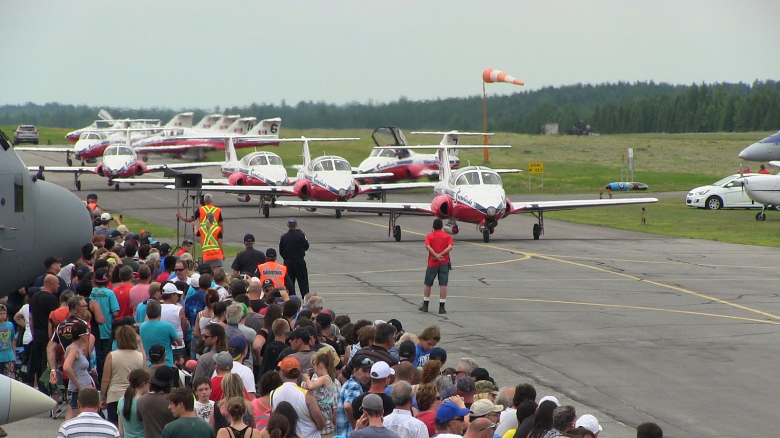 Les Snowbirds en 2014