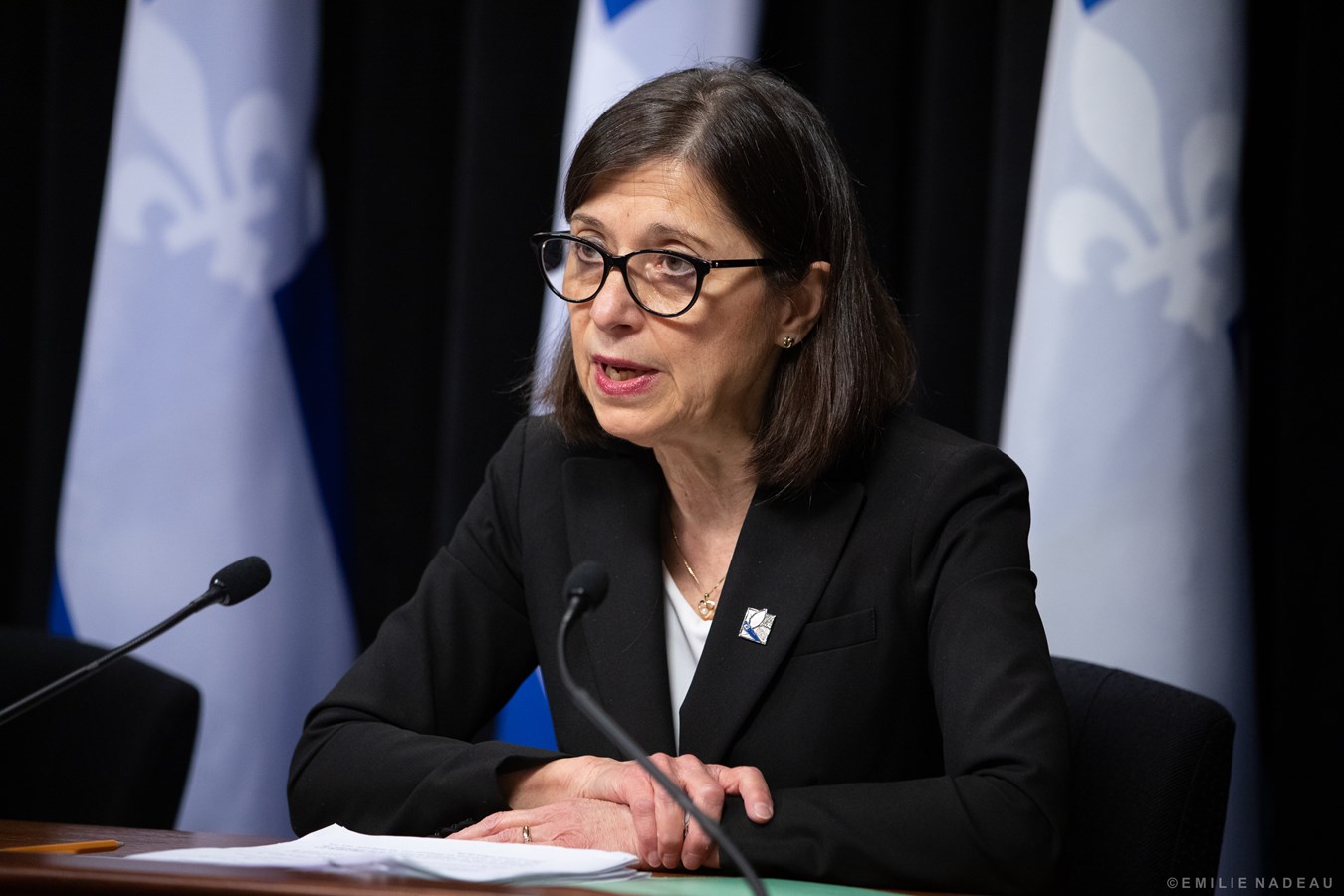 La ministre de la Santé et des Services sociaux, Danielle McCann.