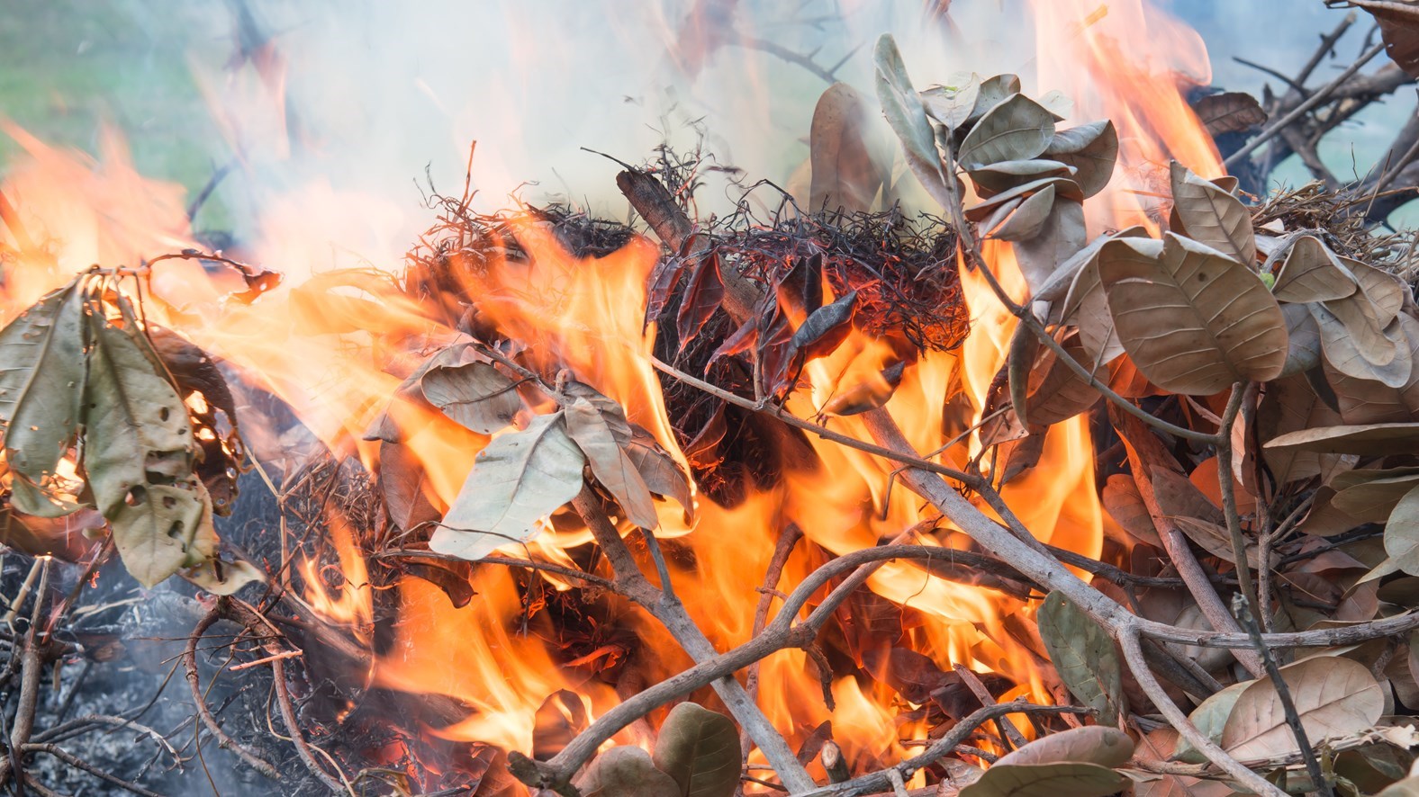 Saint-Georges interdit le brûlage de déchets sur son territoire