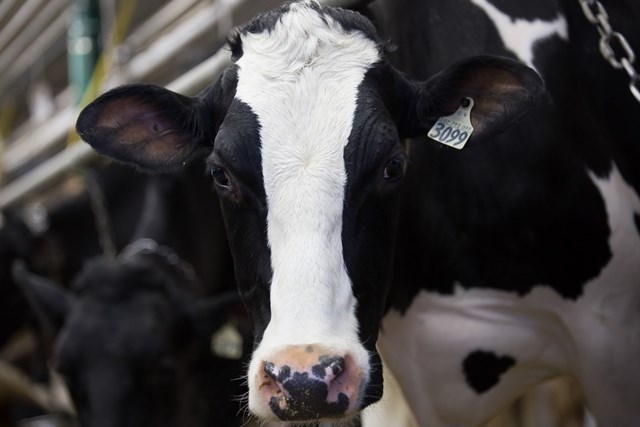 Important don de viande hachée dans la MRC Robert-Cliche