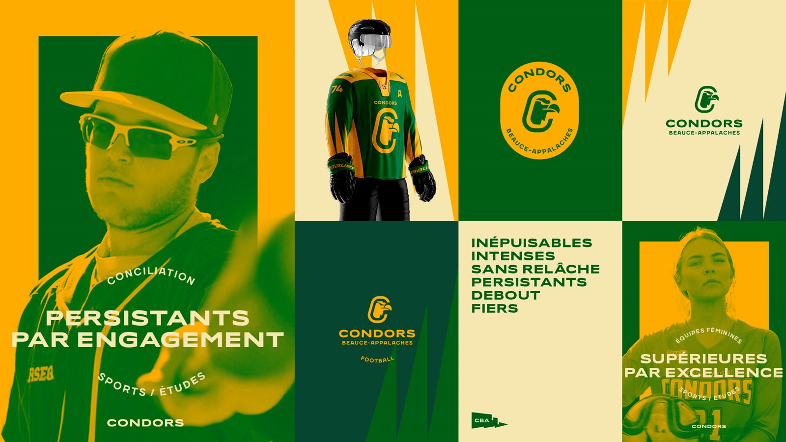 Les Condors du Cégep Beauce-Appalaches dévoilent leur nouveau logo