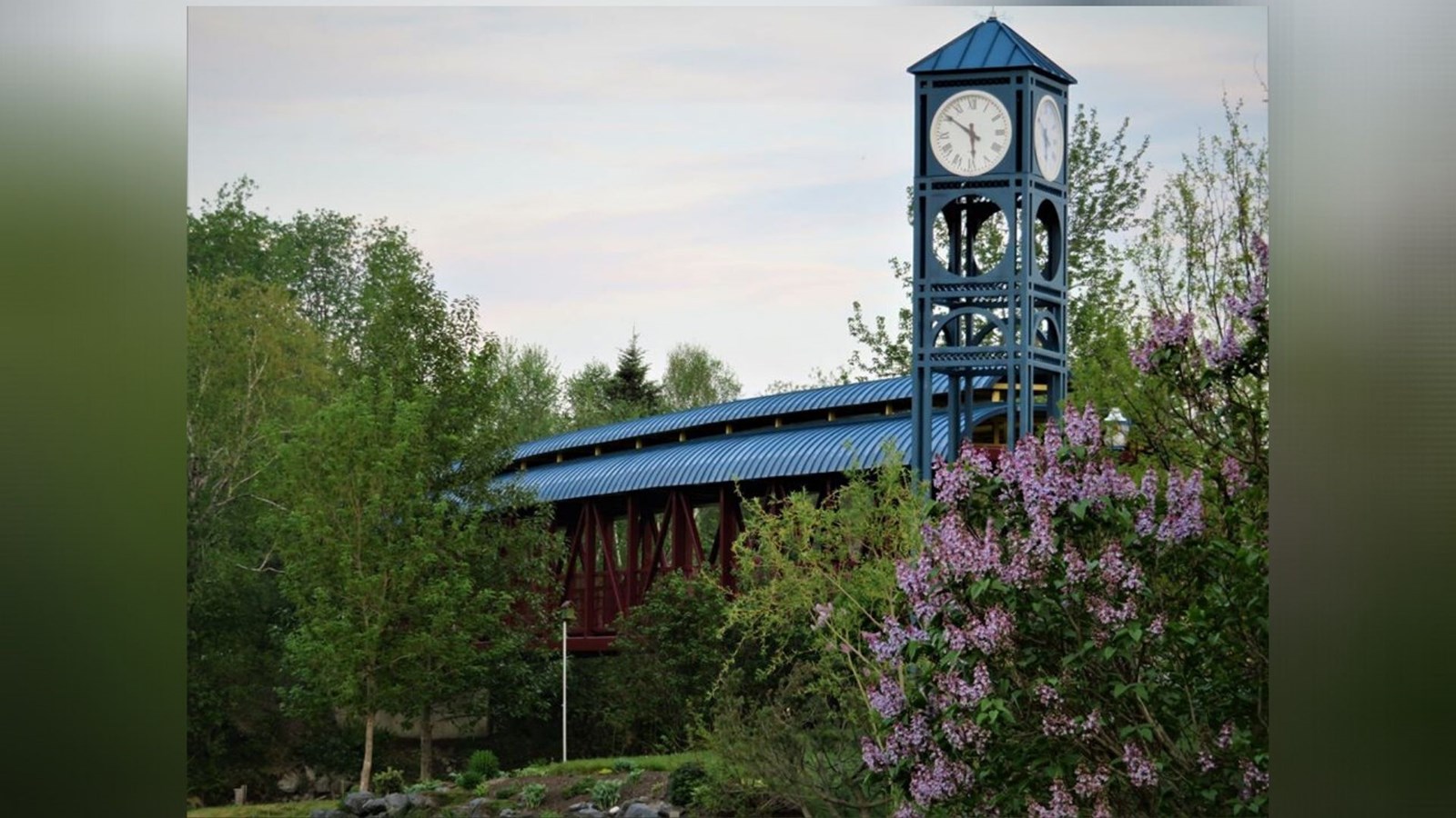 Galerie photos 2: la fleuraison en Beauce 