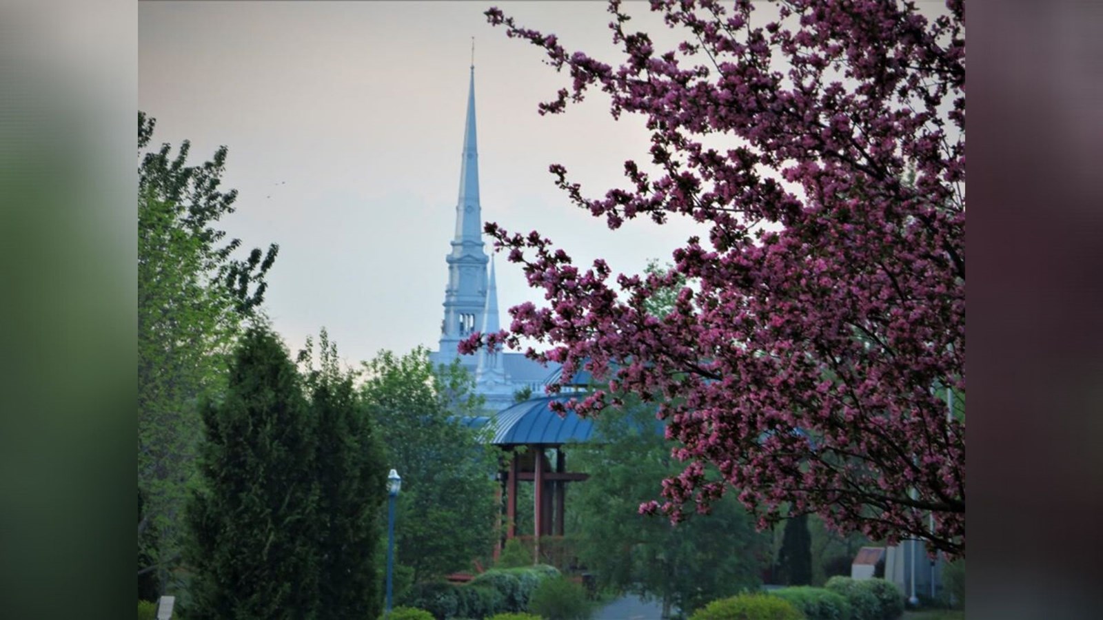Galerie photos 2: la fleuraison en Beauce 