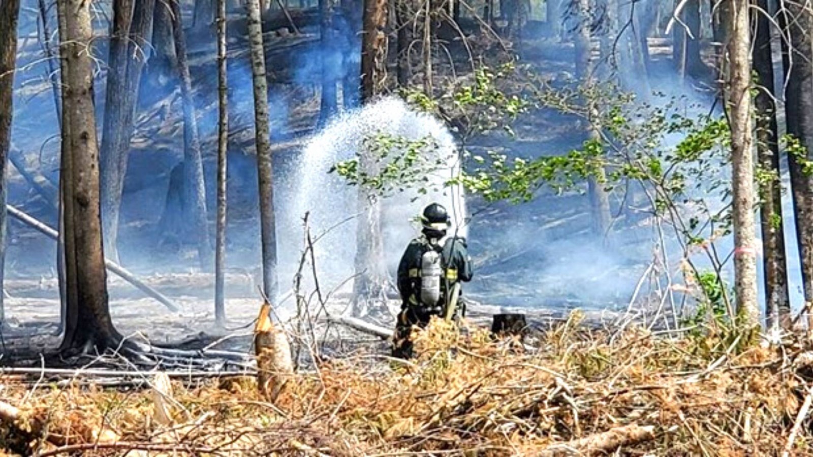 Le 29 mai, un feu de forêt s'est produit en plein quartier résidentiel dans le secteur Jersey Mills de Saint-Georges.