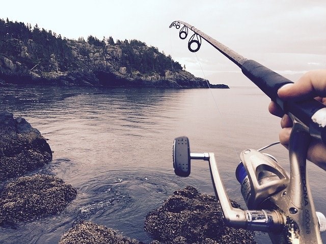 Guide des interdictions liées à la pêche au Québec