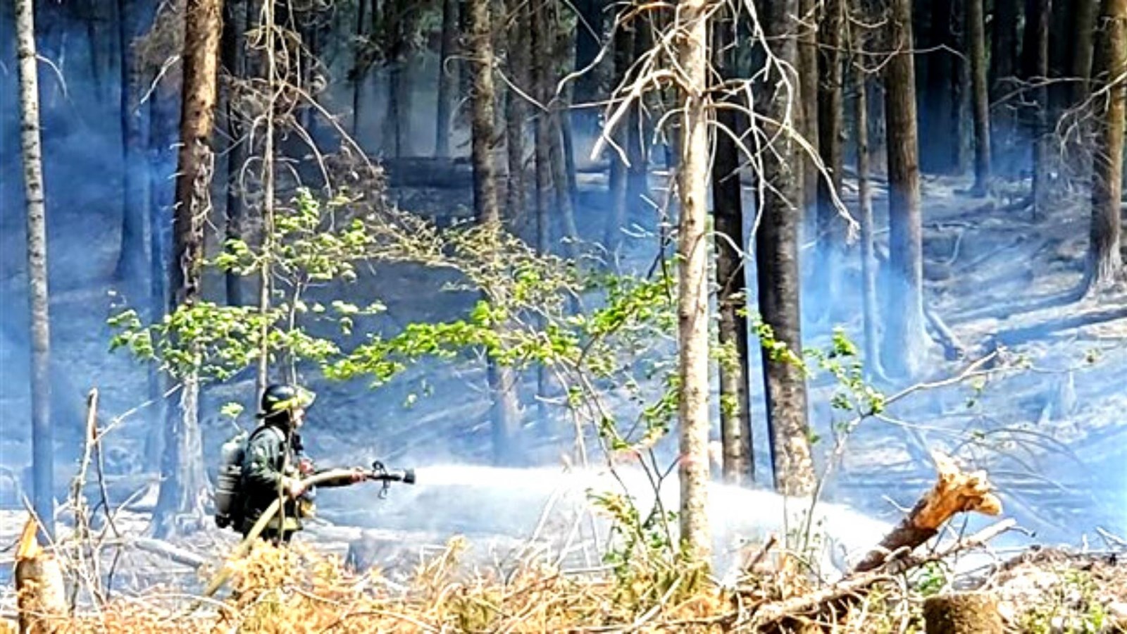 Beauce-Appalaches: l'indice d'inflammabilité passe à très élevé
