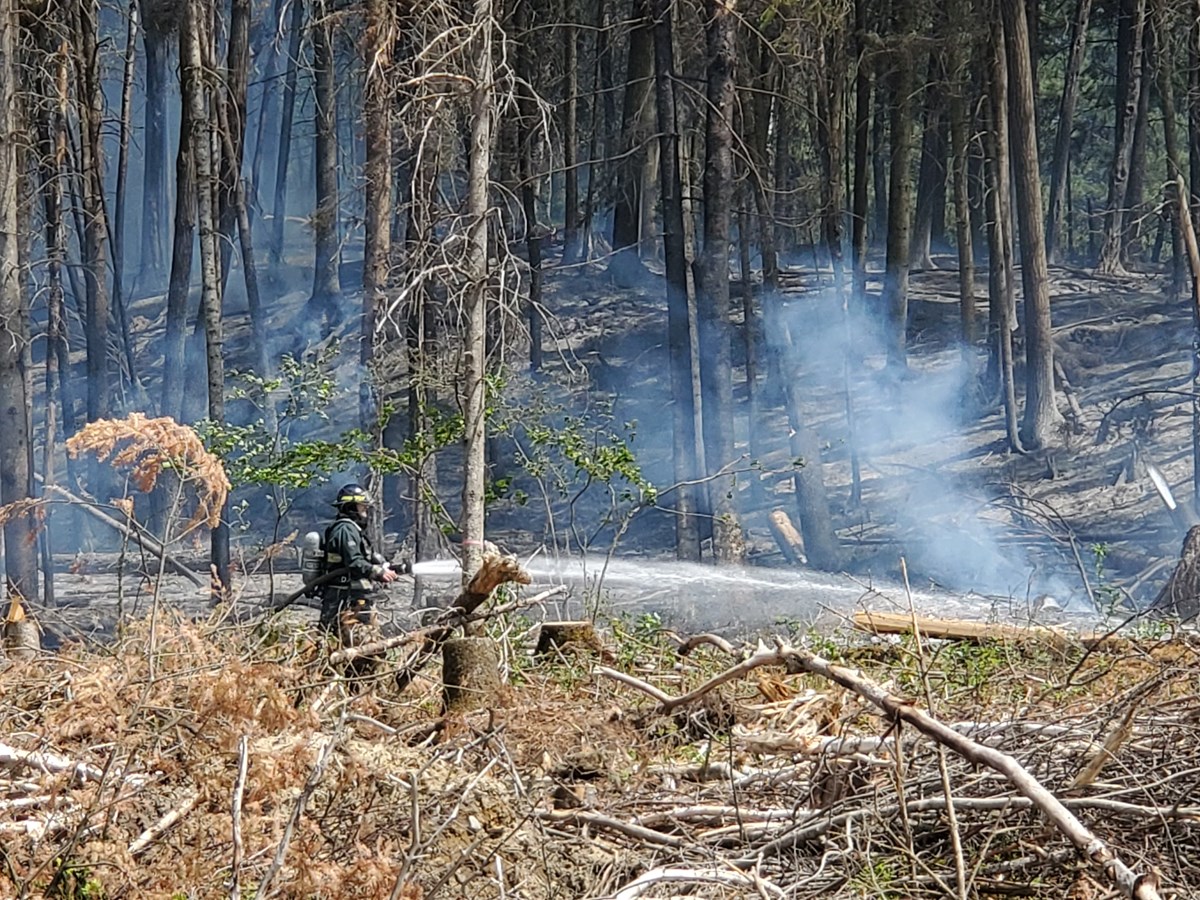 Le danger d’incendie de forêt variera d’ «élevé» à «extrême», avise la SOPFEU
