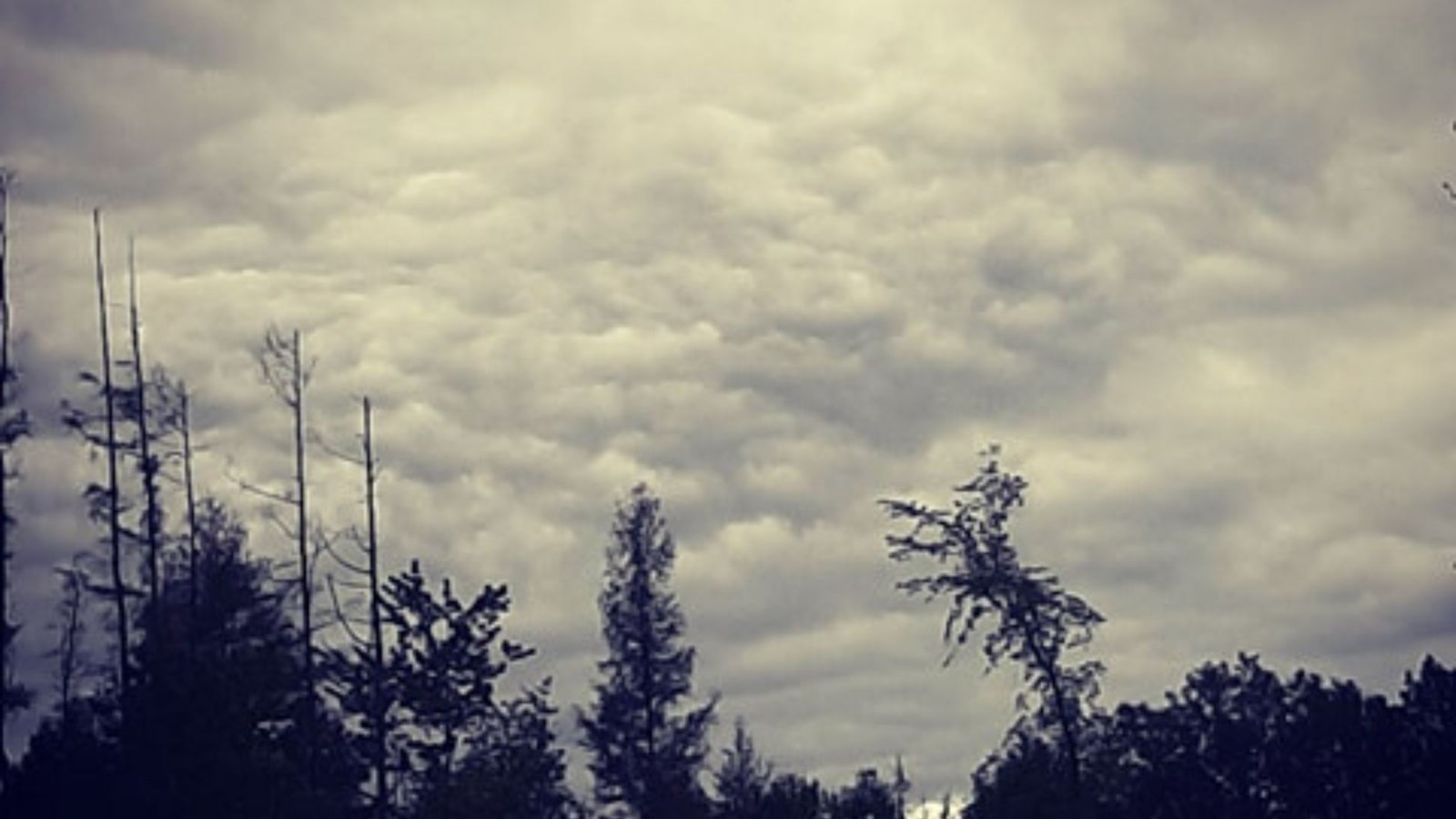 Galerie 2 : le ciel sous toutes ses formes