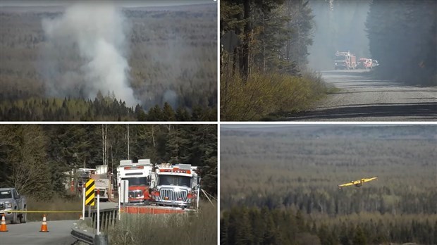 Feu de forêt : un record en 10 ans pour le mois de juin
