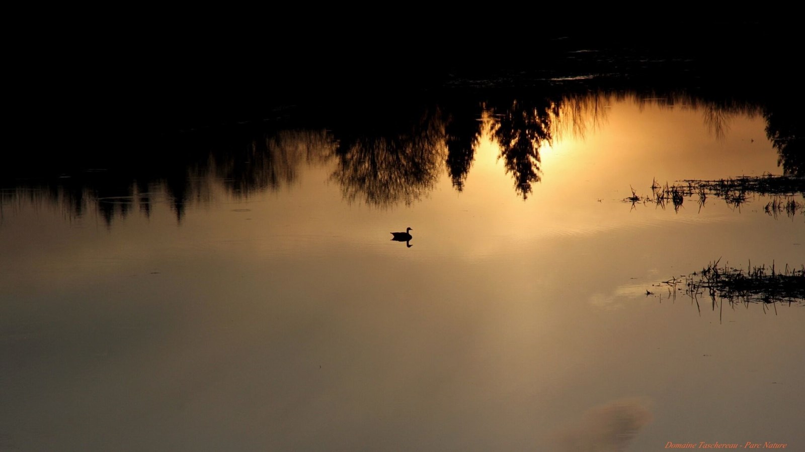 Galerie 5 : le ciel sous toutes ses formes