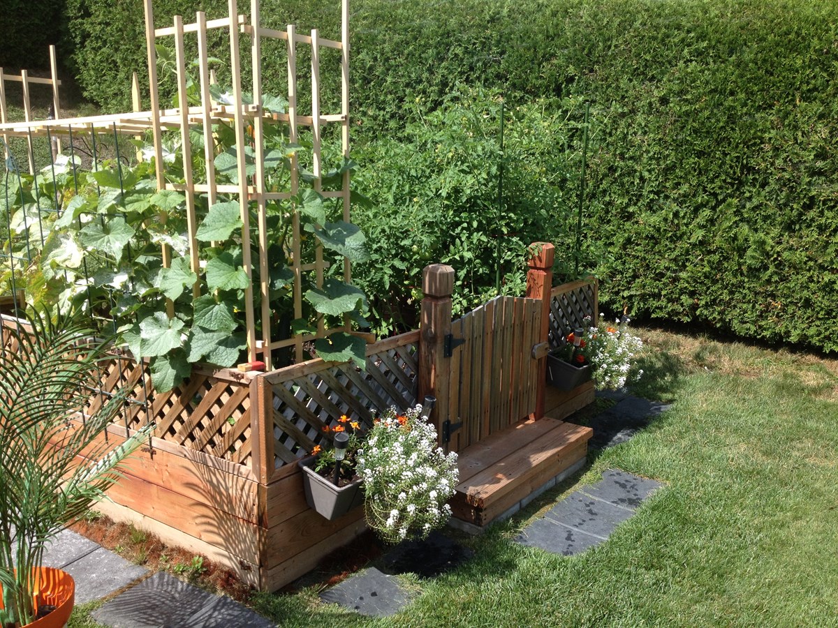 Galerie 1 : des potagers photogéniques!