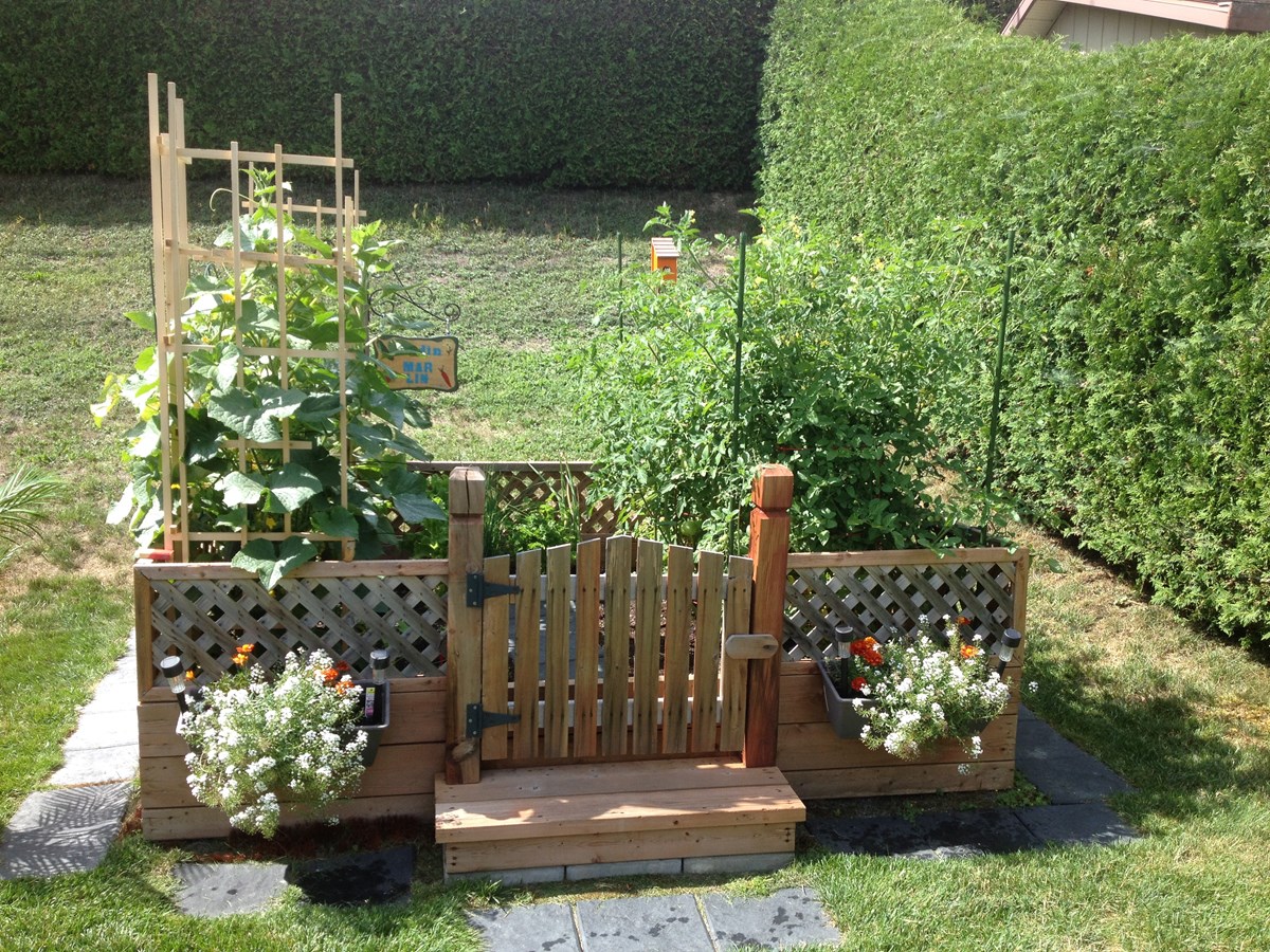 Galerie 1 : des potagers photogéniques!