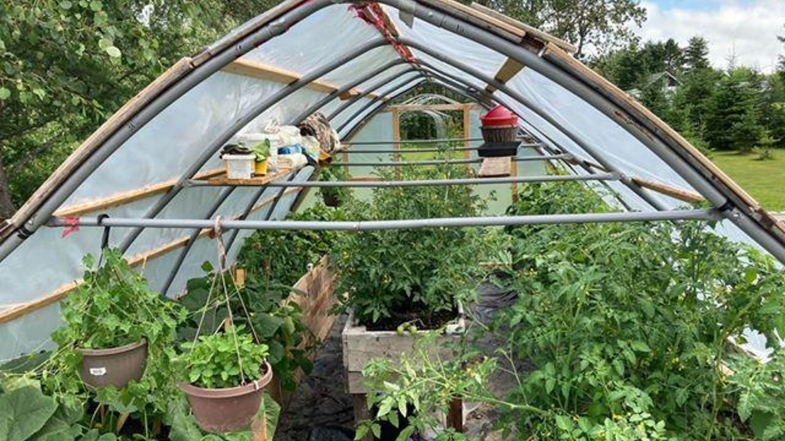 Galerie 1 : des potagers photogéniques!