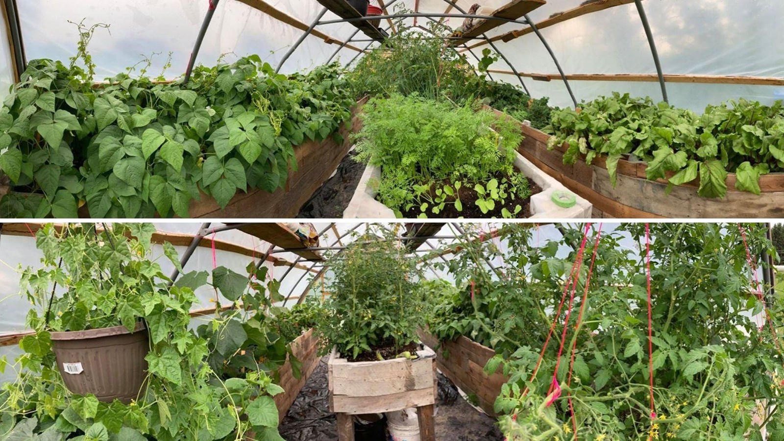 Galerie 1 : des potagers photogéniques!